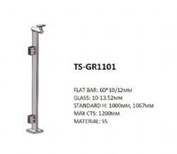 TS-GR1101